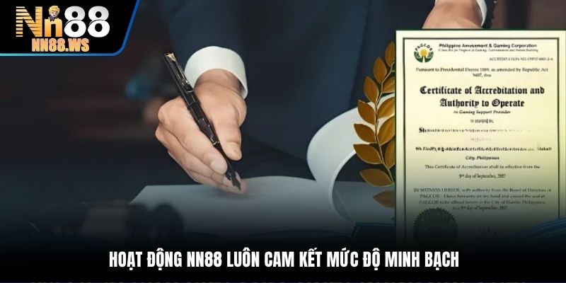 Hoạt động TN88 luôn cam kết mức độ minh bạch
